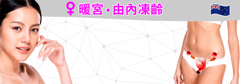 腎陽虛 = 免疫力差: 醫學研究顯示,腎陽虛證患者呈現各種免疫功能衰弱的檢測結果