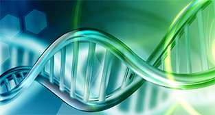 有理論認為「先天之精」等同西方醫學描述的遺傳基因DNA,科學家利用基因技術作深入研究,已經確立腎陽虛證和DNA的關係。而RNA和蛋白質是「後天之精」,受生活環境和食物營養影響。
