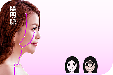 《黃帝內經》記載,女性五七(35歲)「陽明脈衰,面始焦,髮始墮」。根本原因就是腎氣下降。 「陽明脈」經過面部和額頭,所以女性的衰老首先顯現在面部,出現皺紋、面黃憔悴、脫髮。