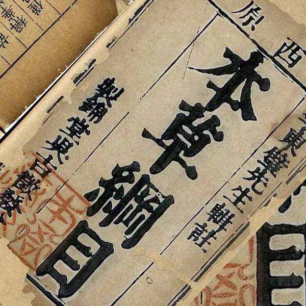 李時珍在《本草綱目》中提到的「斑龍頂上珠」就是指鹿茸,說人的精力消耗過度,用丹藥治療效果緩慢,只有用鹿茸才能補虛療體。