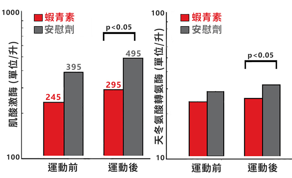 蝦青素保護肌肉免受自由基傷害