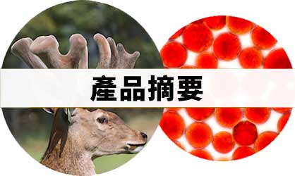 極品之源™ 紐西蘭「大茸頭」鹿茸+蝦青素膠囊